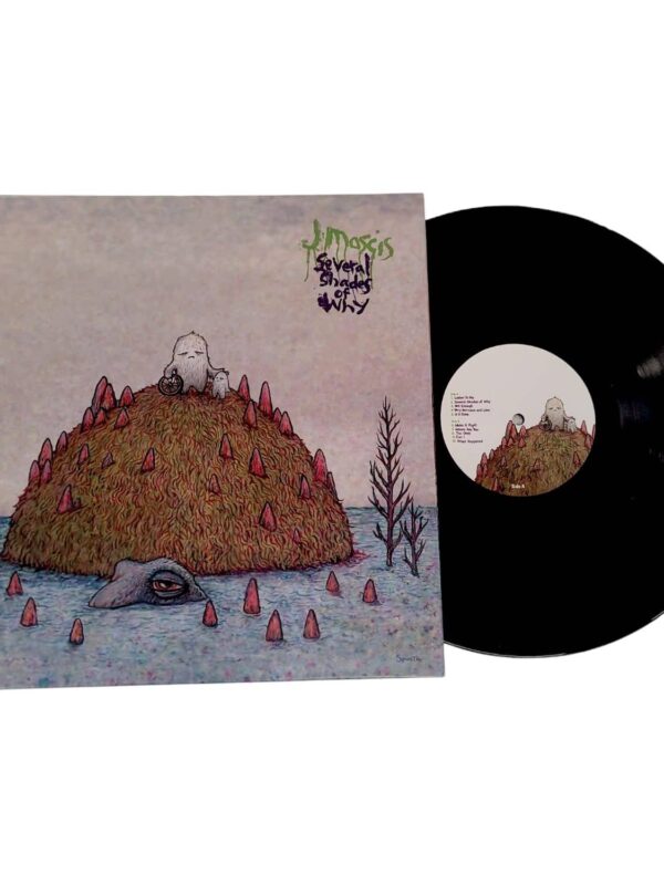 LP - J Mascis - Several Shades Of Why