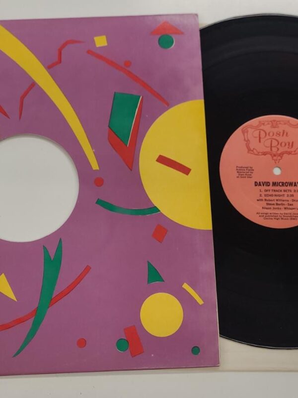 VINYL MAXI SINGLE - David Microwave - David Microwave