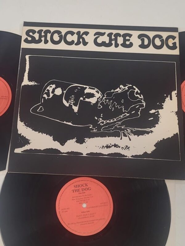 LP - Peter Gabriel - Shock The Dog