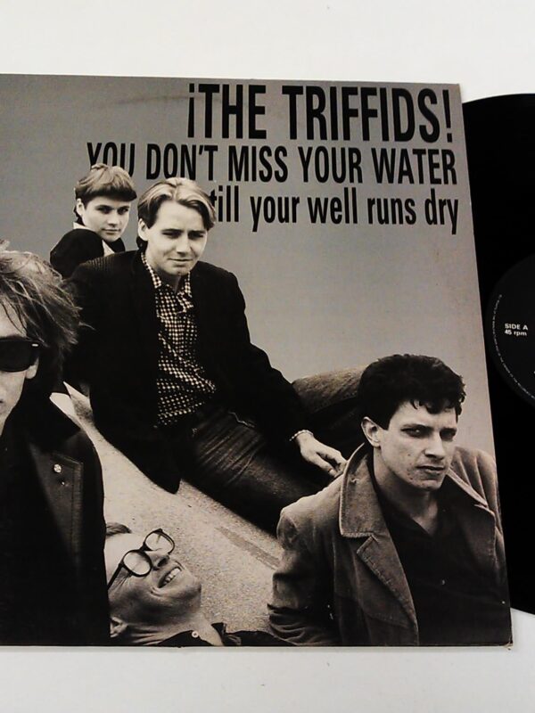 VINYL MAXI SINGLE - THE TRIFFIDS - YOU DON'T MISS YOUR WATER