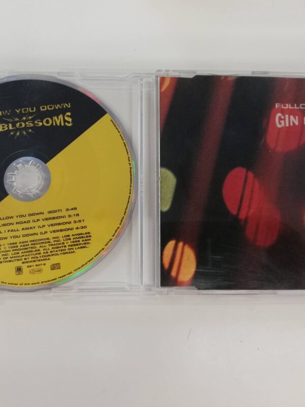 CD SINGLE - Gin Blossoms - Follow You Down