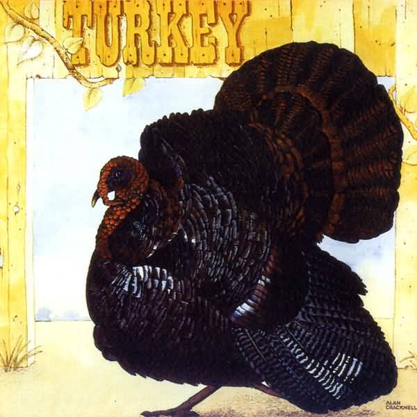 CD - Wild Turkey - Turkey