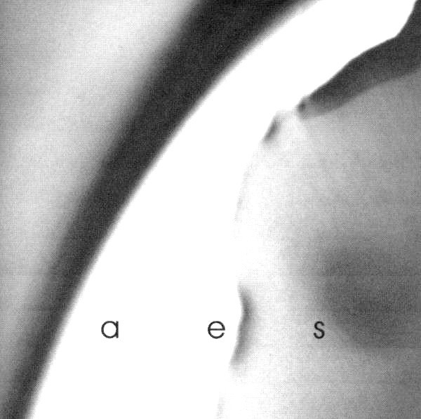 CD - Skepticism - Aes