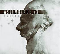 CD - Assemblage 23 - Endure